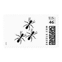 ant trail postage