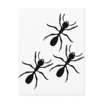 ant trail postcards by Tomaniac ant trail postcards