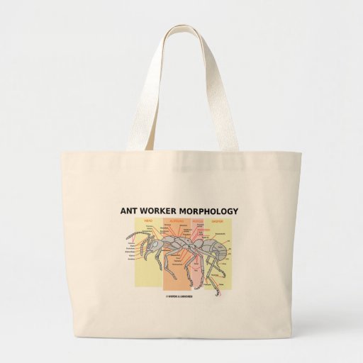 Ant Worker Morphology Tote Bags