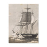 Antarctica 2 post card