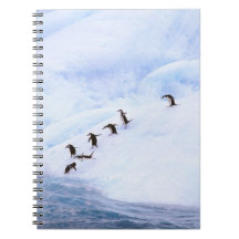 Antarctica, Antarctic Peninsula. Chinstrap Spiral Note Book