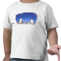 Antarctica, Antarctic Peninsula, Weddell Sea, 3 Tshirt