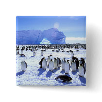 Antarctica, Antarctic Peninsula, Weddell Sea, 5 Pinback Button