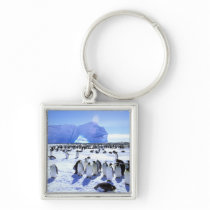 Antarctica, Antarctic Peninsula, Weddell Sea, 5 Keychains
