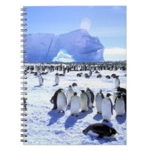 Antarctica, Antarctic Peninsula, Weddell Sea, 5 Spiral Notebook