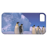 Antarctica, Australian Antarctic Territory, 7 iPhone 5 Cases