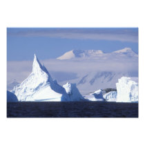 Antarctica, Boothe Island, Afternoon sun