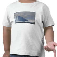 Antarctica, Bransfield Strait, Afternoon sun 2 Tee Shirts