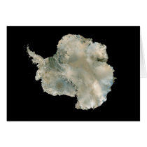 Antarctica Greeting Cards