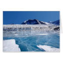 Antarctica cards by beverlytazangel Antarctica cards