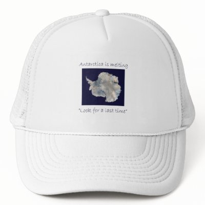 Antarctica Mesh Hats by pinart