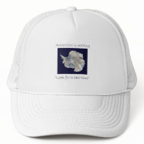 Antarctica hats by pinart Antarctica hats