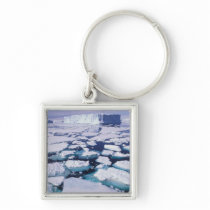 Antarctica, Ice flow. Key Chain