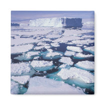 Antarctica, Ice flow. Refrigerator Magnets
