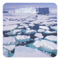 Antarctica, Ice flow. Sticker