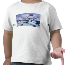 Antarctica, Ice flow. Tee Shirt