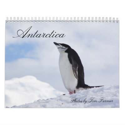 Antarctica Penguins Calendar by FunctionalPhotos