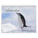 Antarctica Penguins Calendar