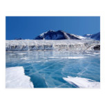 Antarctica Post Card