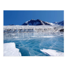 Antarctica Post Card