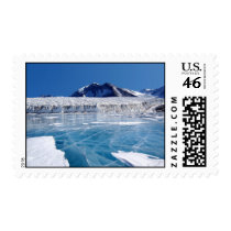 Antarctica Stamps
