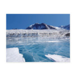 Antarctica Post Card