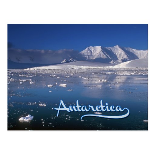 Antarctica Postcard | Zazzle