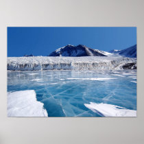 Antarctica Posters