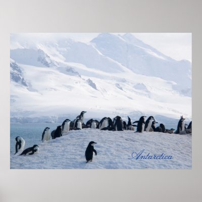 Antarctica Poster by FunctionalPhotos