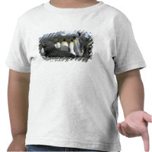 Antarctica, South Georgia Island. Antarctic fur T Shirt