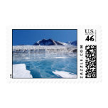 Antarctica Stamps