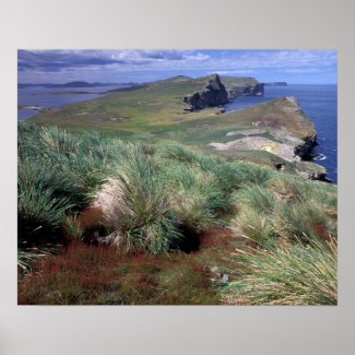 Antarctica, Sub-Antarctic Islands, South 3 Print