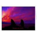 Antarctica Sunset card