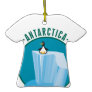 antartica penguin design ornaments