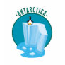 antartica penguin design t shirt