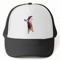 Anteater Mesh Hat