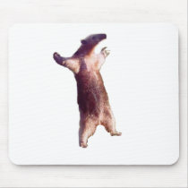 Anteater Mouse Pads