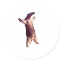 Anteater Sticker