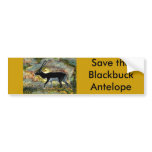 Antelope Blackbuck Bumpersticker -Junglewalk.com Bumper Sticker