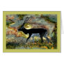 Antelope Blackbuck from Junglewalk.com Card