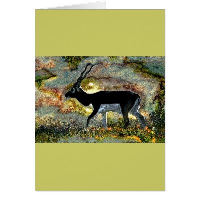 Antelope Blackbuck from Junglewalk.com Greeting Card by junglewalkcom