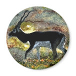 Antelope Blackbuck from Junglewalk.com Refrigerator Magnets