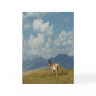 Antelope card