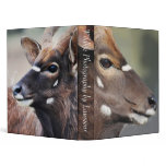 Antelope close up binder
