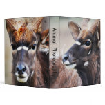 Antelope close up binders