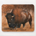 Antelope Island mousepads