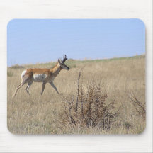 Antelope On Hillside Mouse Pad