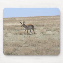Antelope Walking Mouse Pad