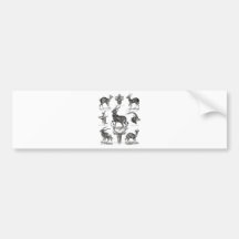 Antelopes Bumper Sticker