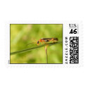 antenna bug postage by PicturePie antenna bug postage